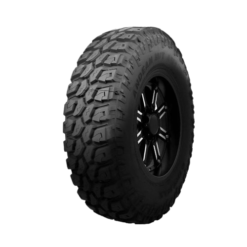 245/75R16 120/116Q 10PR MT DELMAX